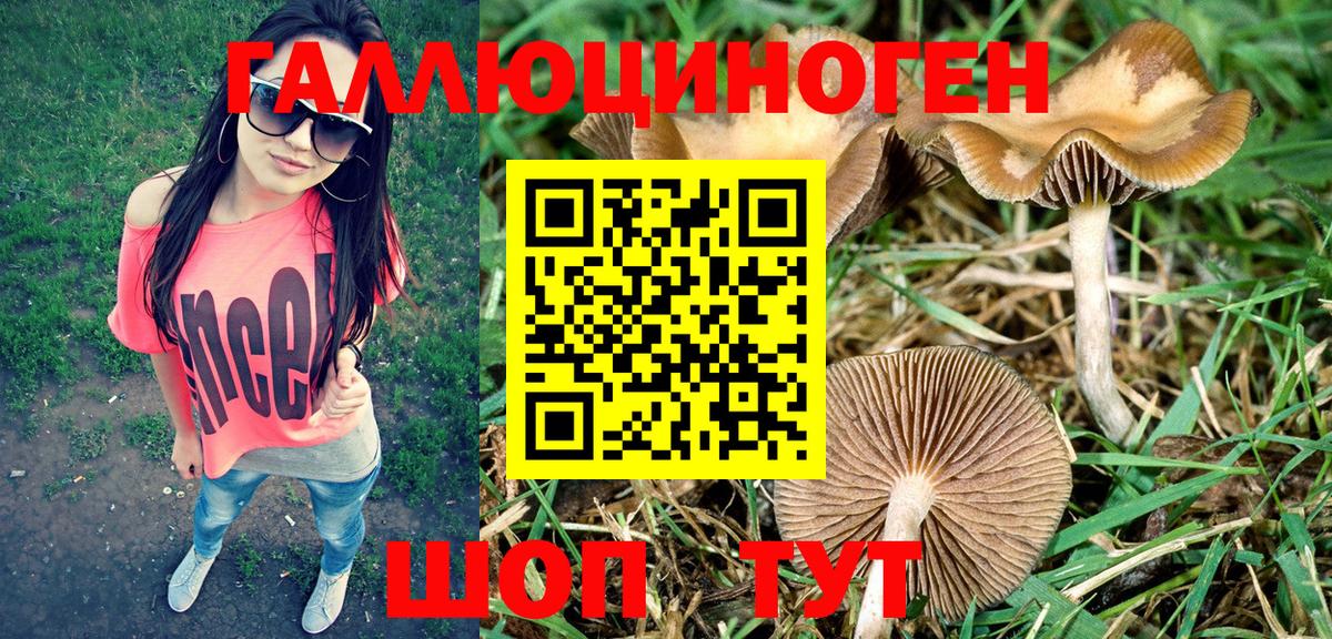 Псилоцибиновые грибы ЛСД Советский