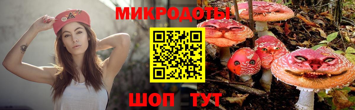 Галлюциногенные грибы Psilocybe  Вход с VPN  Советский 
